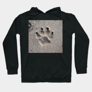 A paw in the sand Hoodie